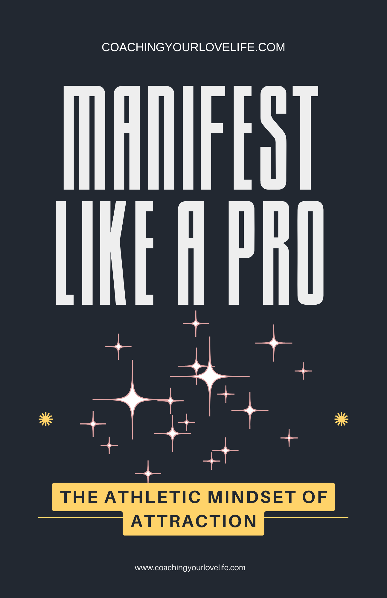 Manifest Like a Pro™ Workbook